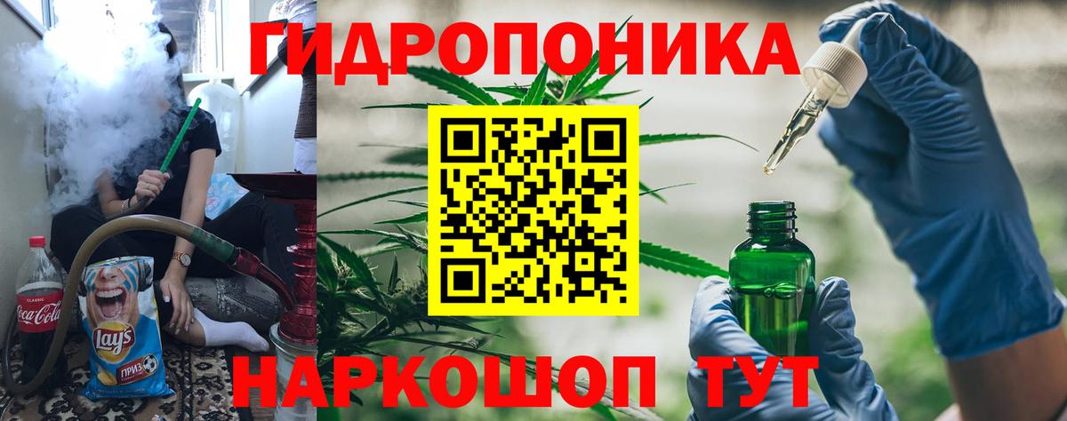 Шишки марихуана планчик  Конопля индика  Бошки марихуана семена  Бошки Шишки SATIVA & INDICA  Дивногорск  Вход с VPN 